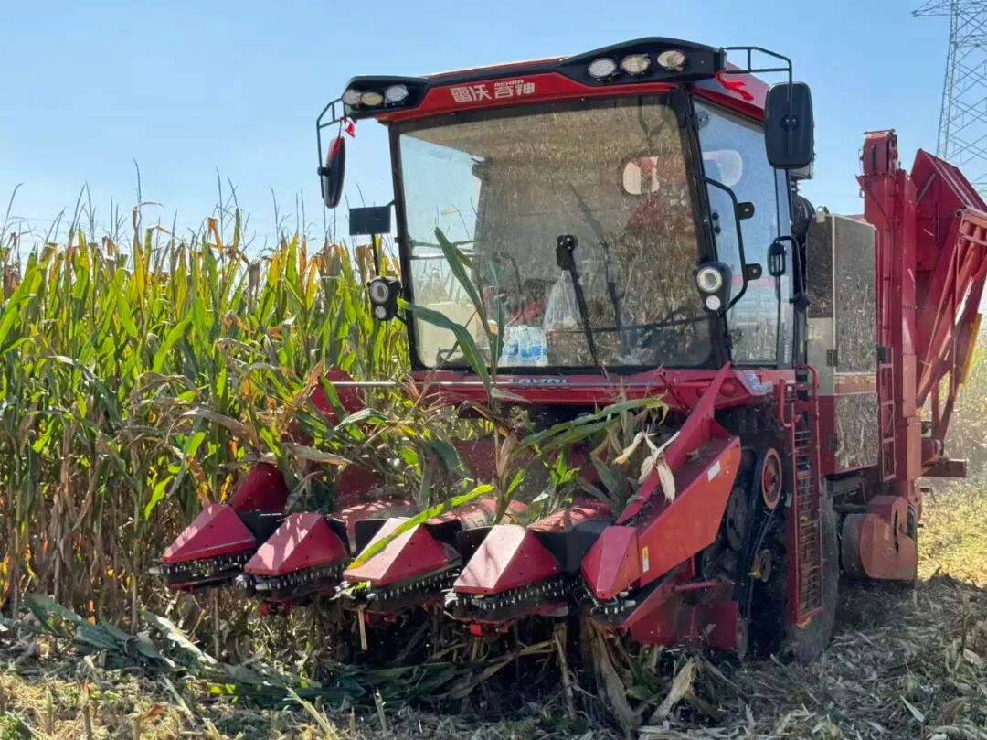 DM_20250928093302_003.jpg