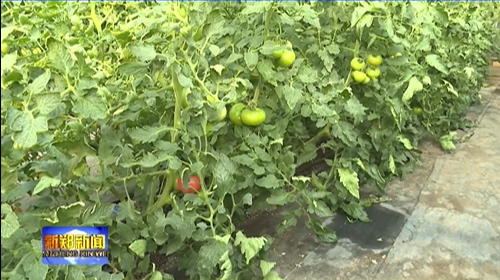 DM_20260120145155_004.png